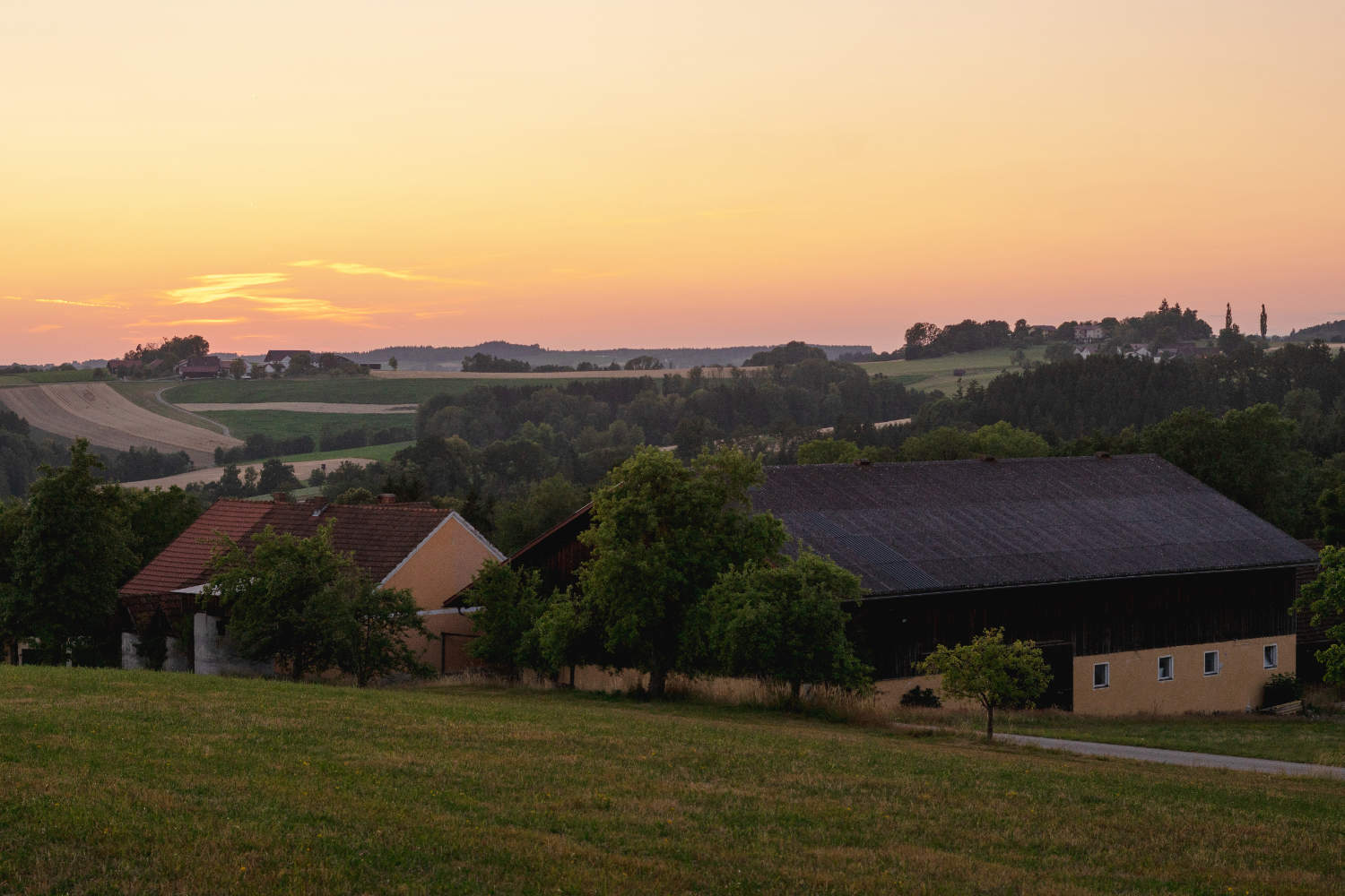 Das Buchmanngut im Sonnenuntergang